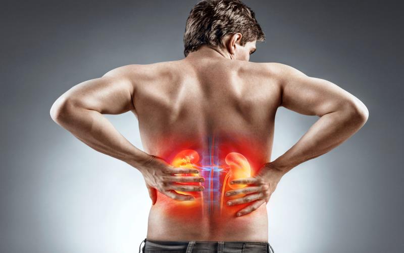 Kidney Stones and Lower Back Pain: Why Is It Vital To Consult a Nephrologist Kidney Stones and Lower Back Pain Why Is It Vital To Consult a Nephrologist