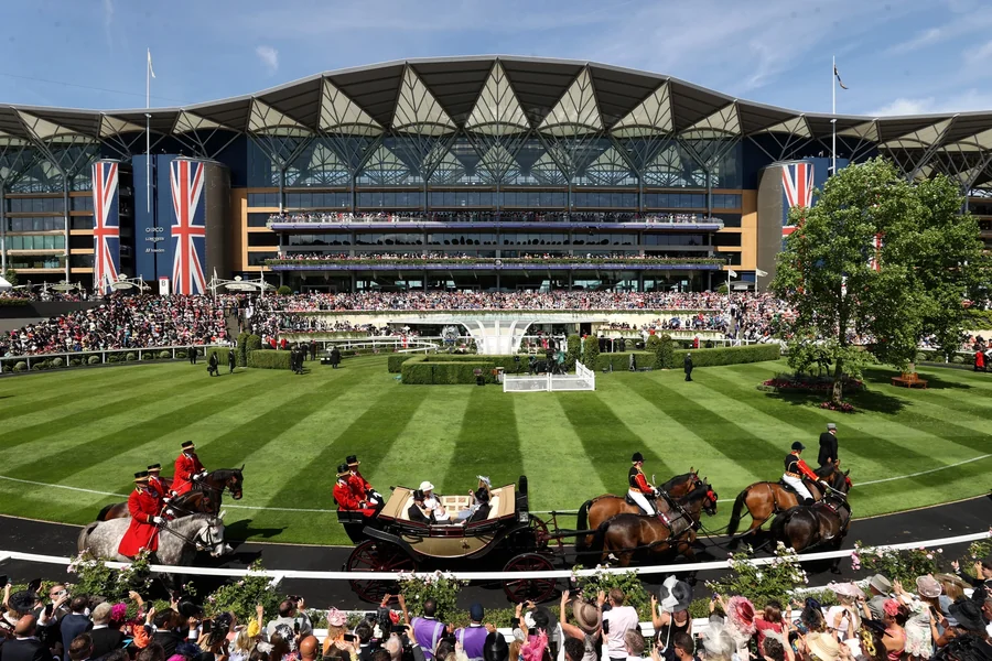 Premium Sporting Hospitality Experiences Are Transforming Corporate Engagement in the UK Sporting Hospitality