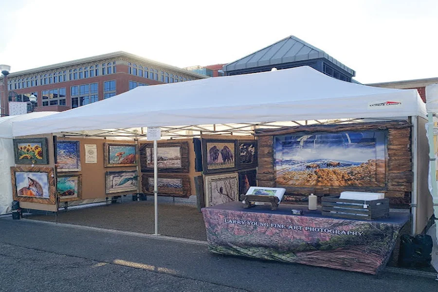 Everything You Need to Know Before Investing in a 10×20 Canopy for Business Events Business Events